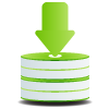 Data Storage Icon